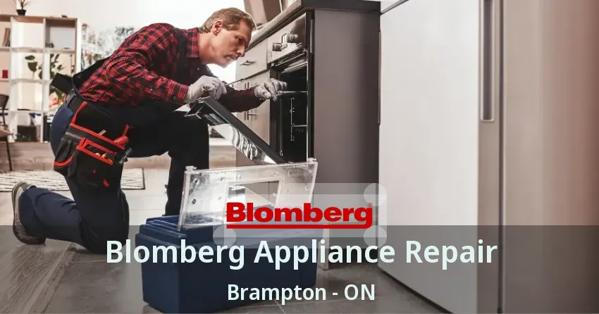 Blomberg Appliance Repair Brampton - ON