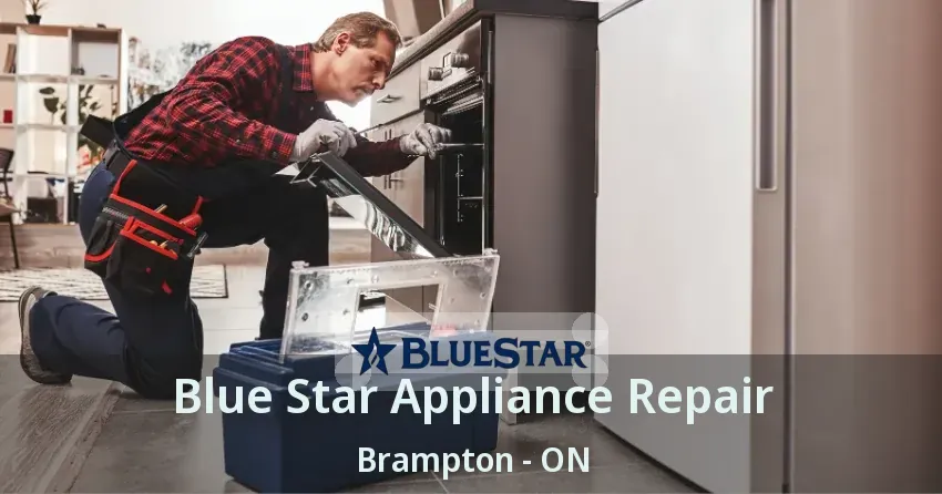 Blue Star Appliance Repair Brampton - ON