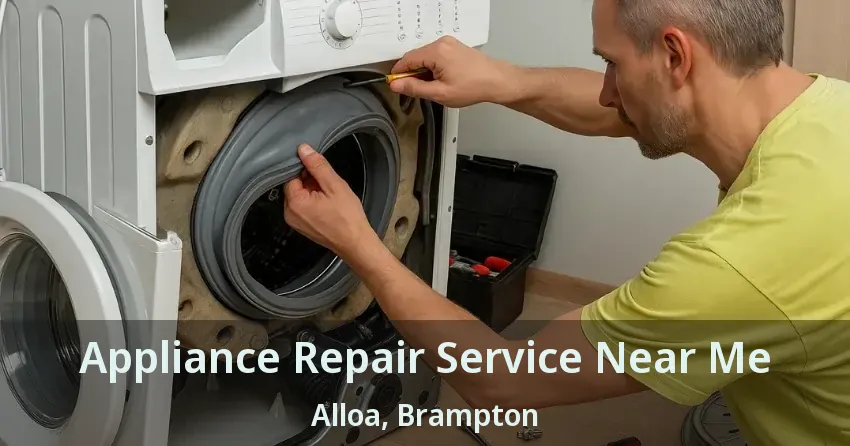 Appliance Repair Service Near Me Alloa, Brampton - ON
