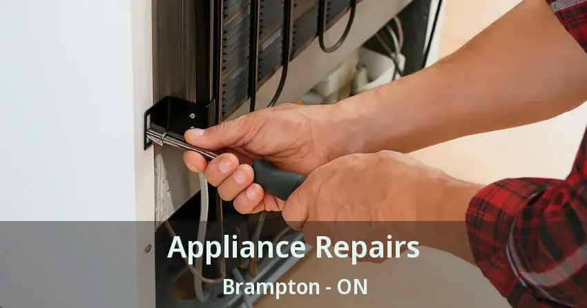 Appliance Repairs Brampton - ON