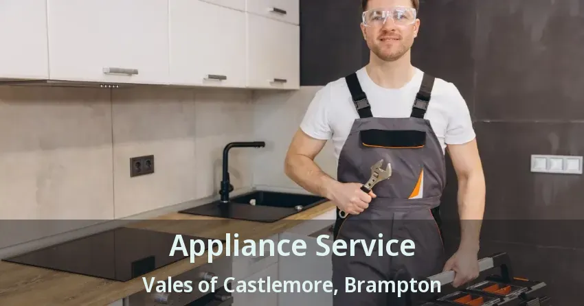 Appliance Service Vales of Castlemore, Brampton - ON