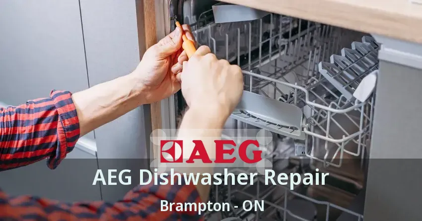 AEG Dishwasher Repair Brampton - ON