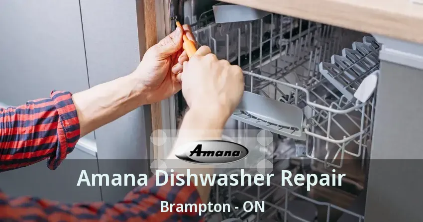 Amana Dishwasher Repair Brampton - ON