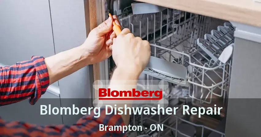 Blomberg Dishwasher Repair Brampton - ON