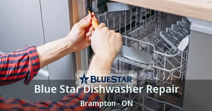Blue Star Dishwasher Repair Brampton - ON
