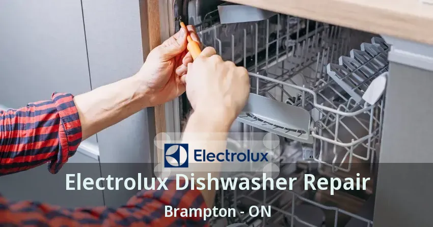 Electrolux Dishwasher Repair Brampton - ON