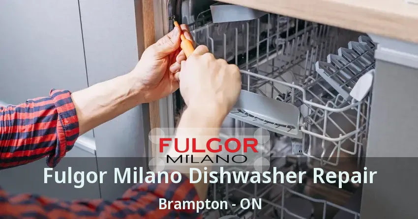 Fulgor Milano Dishwasher Repair Brampton - ON