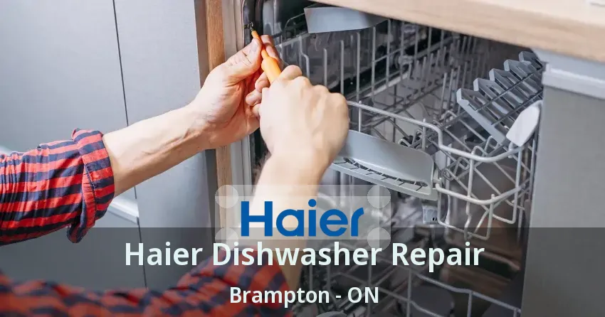 Haier Dishwasher Repair Brampton - ON
