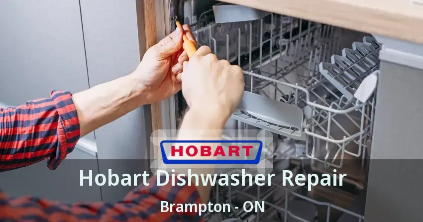 Hobart Dishwasher Repair Brampton - ON