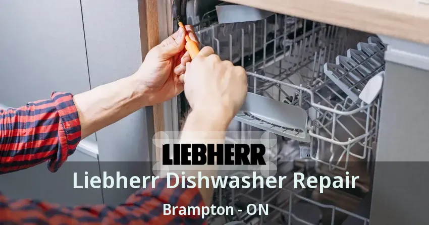 Liebherr Dishwasher Repair Brampton - ON