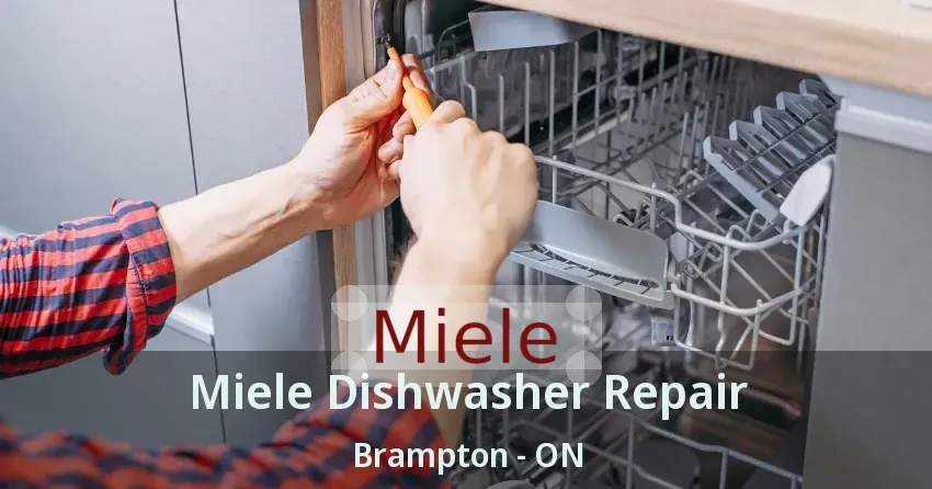 Miele Dishwasher Repair Brampton - ON