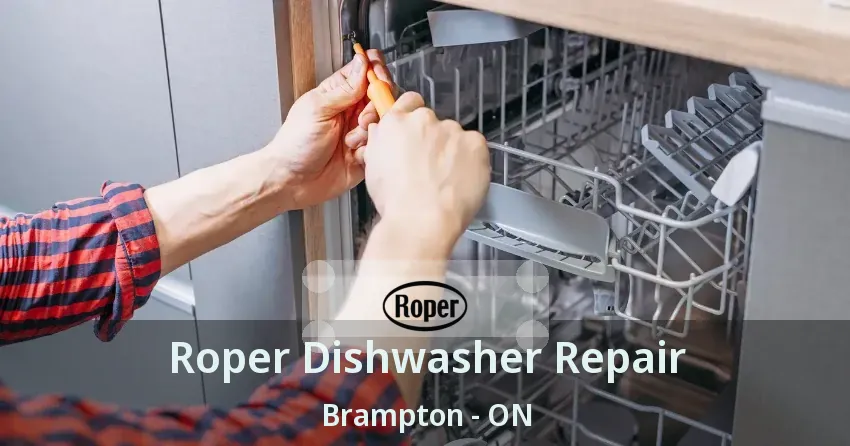 Roper Dishwasher Repair Brampton - ON