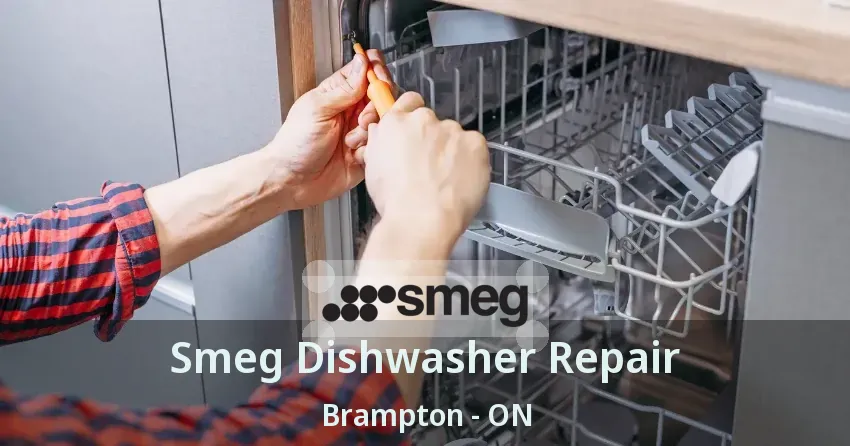 Smeg Dishwasher Repair Brampton - ON
