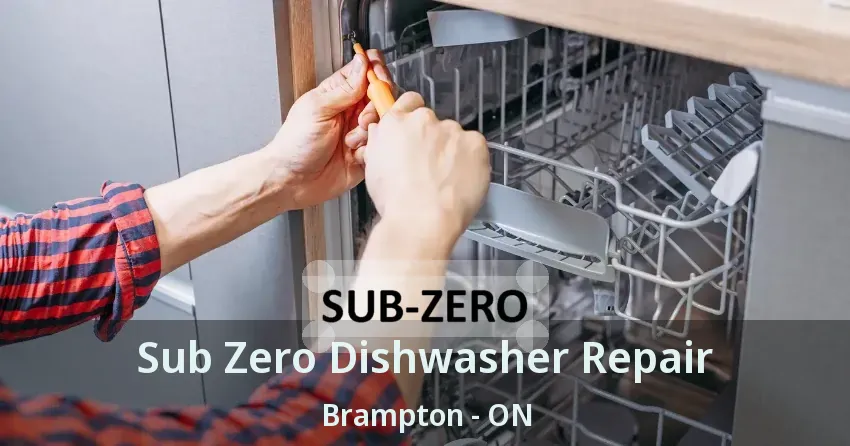 Sub Zero Dishwasher Repair Brampton - ON
