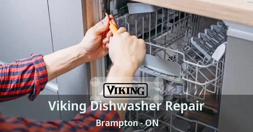 Viking Dishwasher Repair Brampton - ON