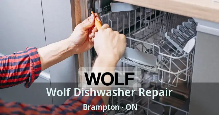 Wolf Dishwasher Repair Brampton - ON