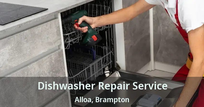Dishwasher Repair Service Alloa, Brampton - ON
