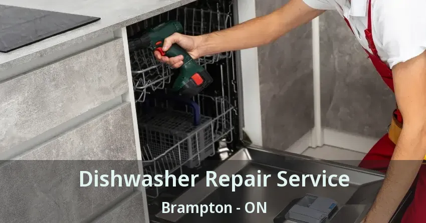 Dishwasher Repair Service Brampton - ON