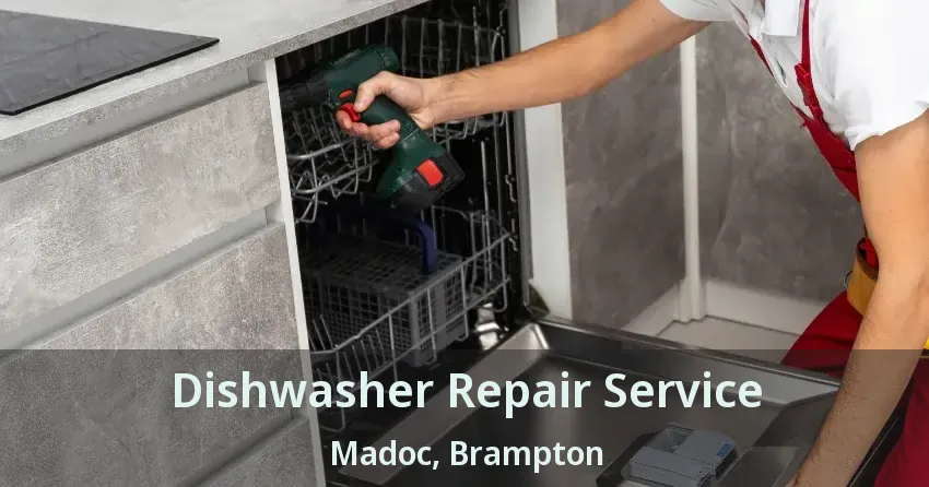 Dishwasher Repair Service Madoc, Brampton - ON
