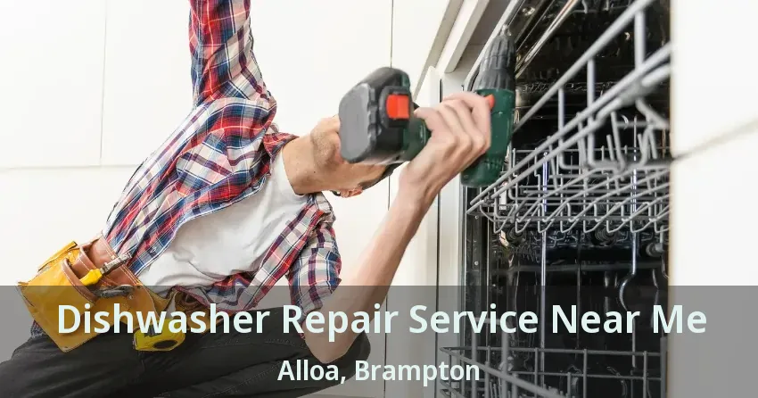 Dishwasher Repair Service Near Me Alloa, Brampton - ON