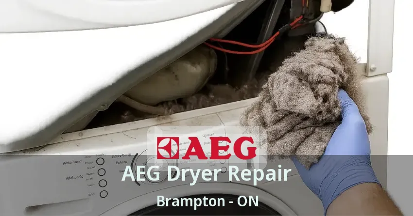 AEG Dryer Repair Brampton - ON