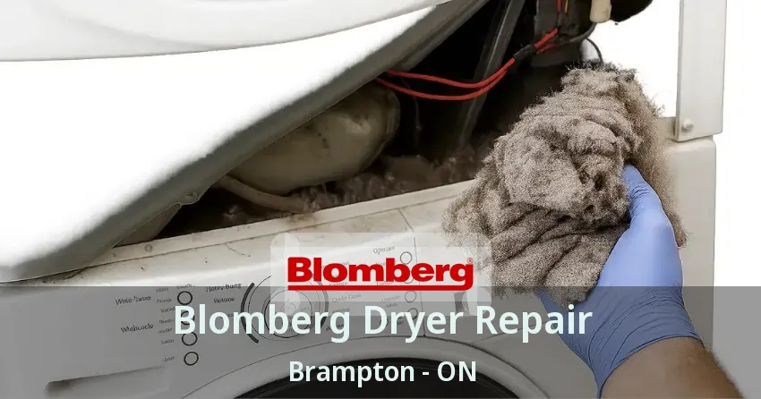 Blomberg Dryer Repair Brampton - ON