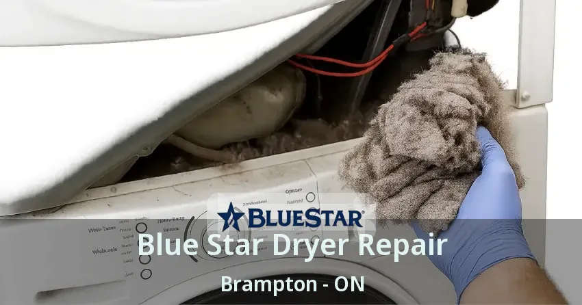 Blue Star Dryer Repair Brampton - ON