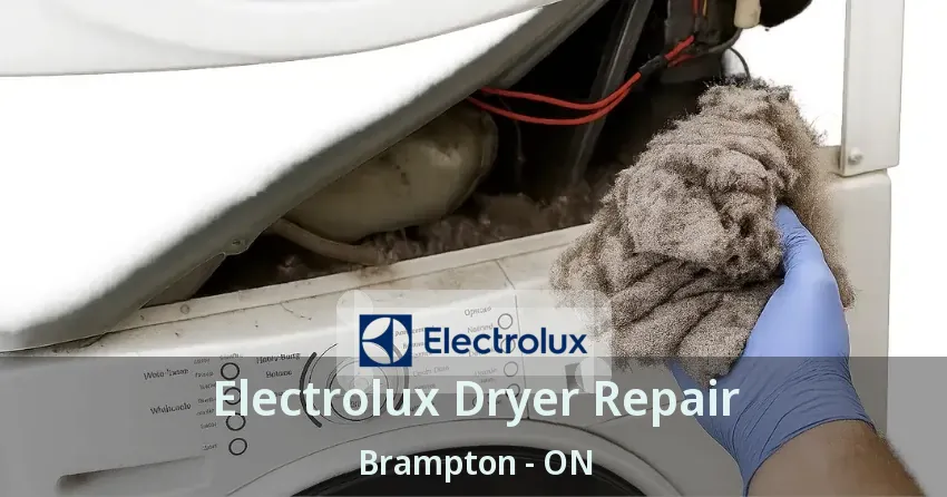 Electrolux Dryer Repair Brampton - ON