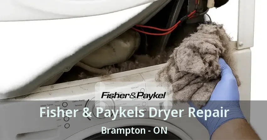 Fisher & Paykels Dryer Repair Brampton - ON