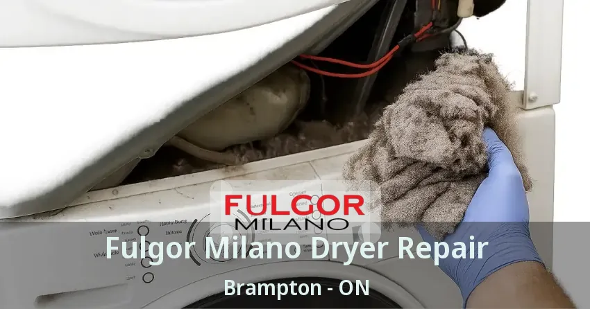 Fulgor Milano Dryer Repair Brampton - ON