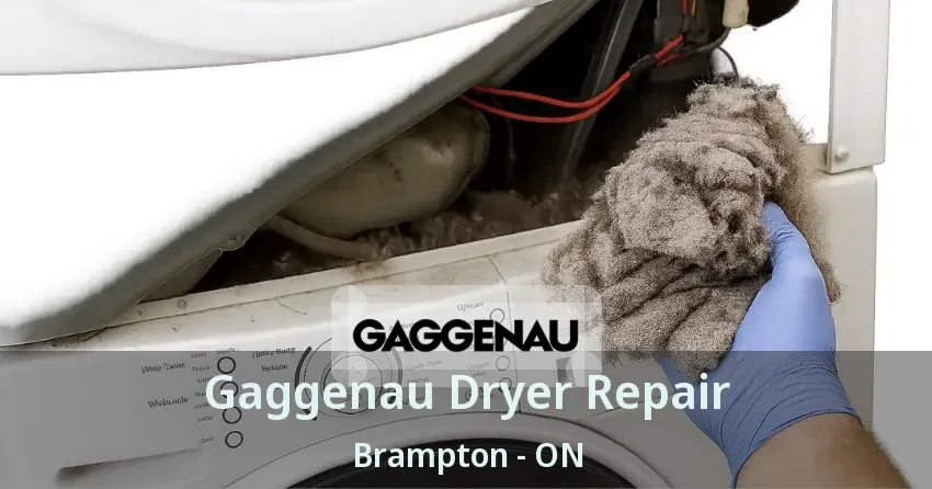 Gaggenau Dryer Repair Brampton - ON