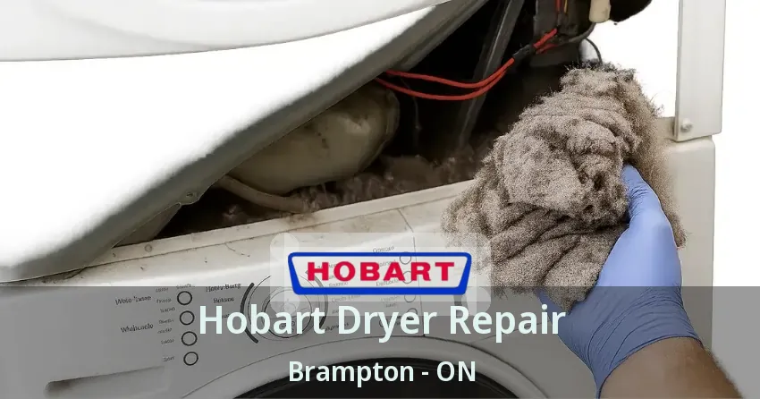 Hobart Dryer Repair Brampton - ON
