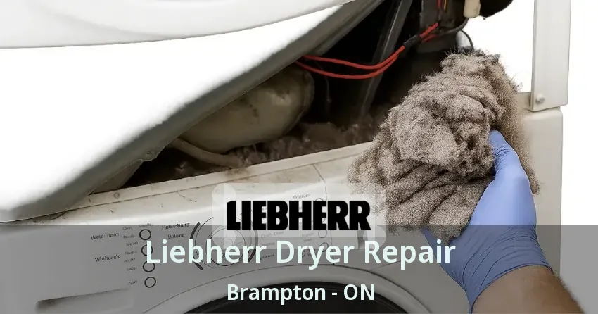Liebherr Dryer Repair Brampton - ON