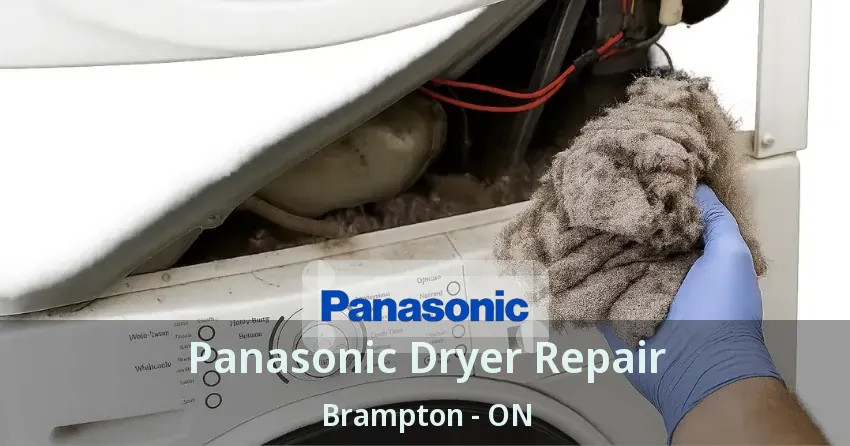 Panasonic Dryer Repair Brampton - ON