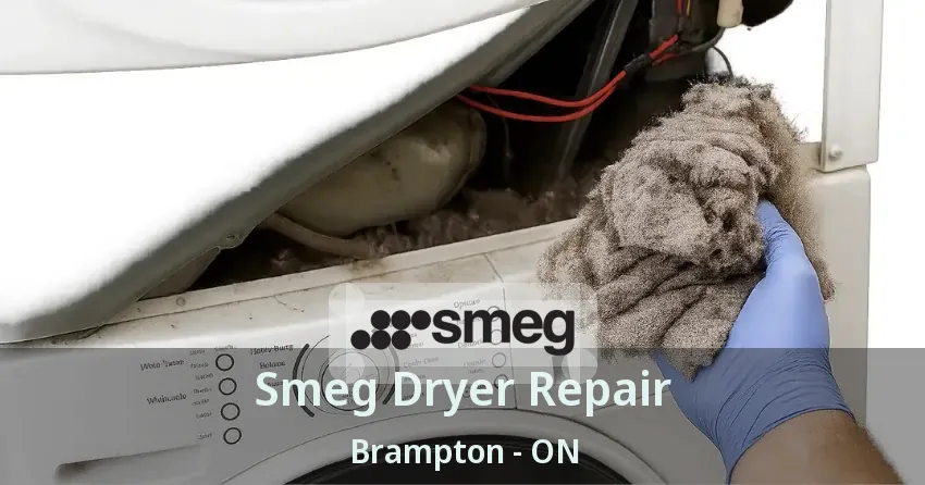 Smeg Dryer Repair Brampton - ON