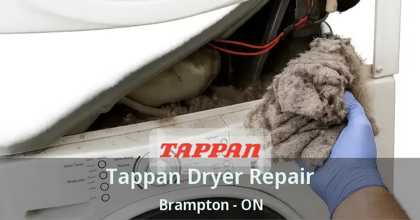 Tappan Dryer Repair Brampton - ON
