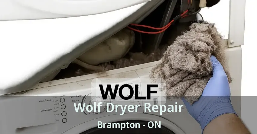 Wolf Dryer Repair Brampton - ON