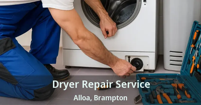 Dryer Repair Service Alloa, Brampton - ON