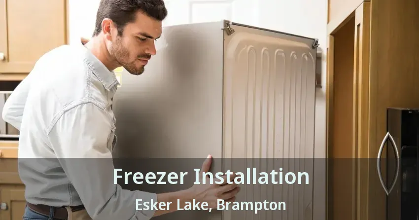 Freezer Installation Esker Lake, Brampton - ON