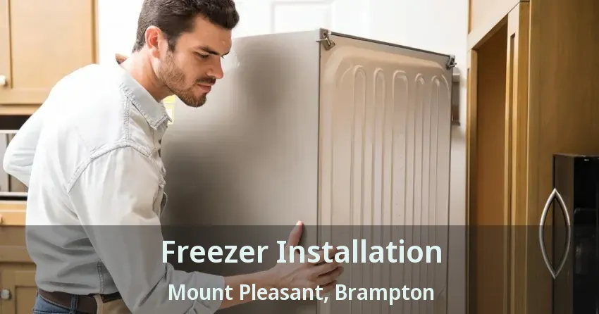 Freezer Installation Mount Pleasant, Brampton - ON