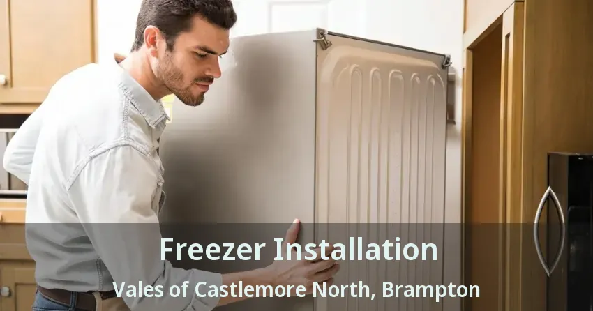 Freezer Installation Vales of Castlemore North, Brampton - ON