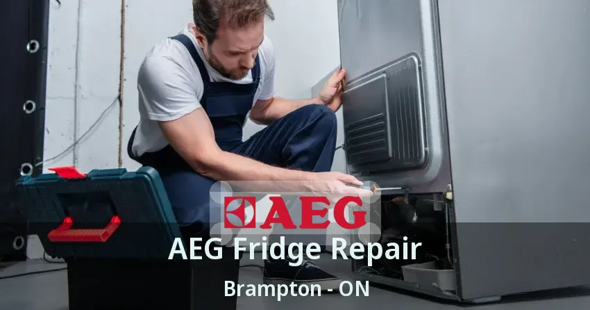 AEG Fridge Repair Brampton - ON