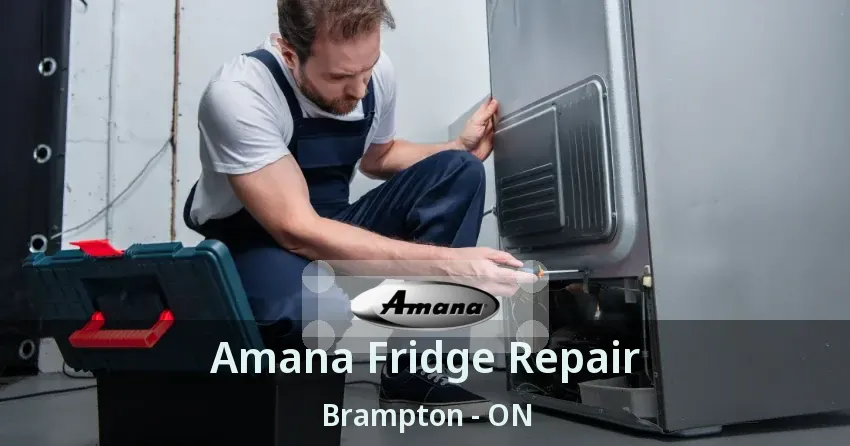 Amana Fridge Repair Brampton - ON