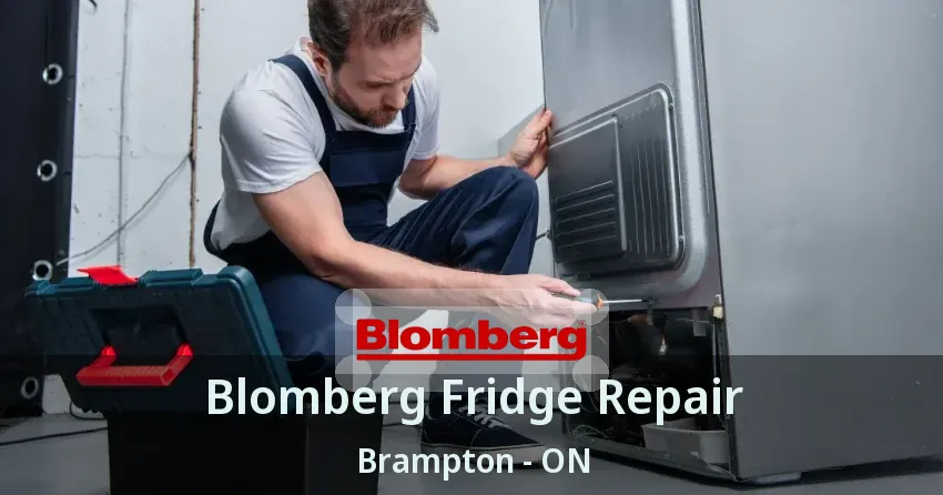 Blomberg Fridge Repair Brampton - ON