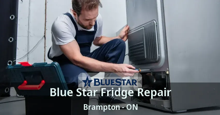 Blue Star Fridge Repair Brampton - ON