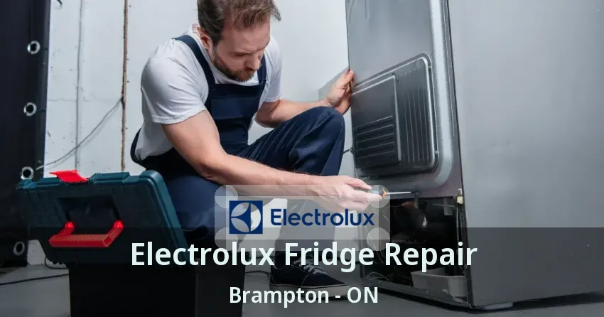 Electrolux Fridge Repair Brampton - ON