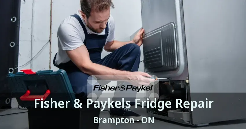 Fisher & Paykels Fridge Repair Brampton - ON