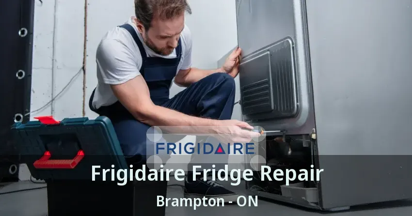 Frigidaire Fridge Repair Brampton - ON