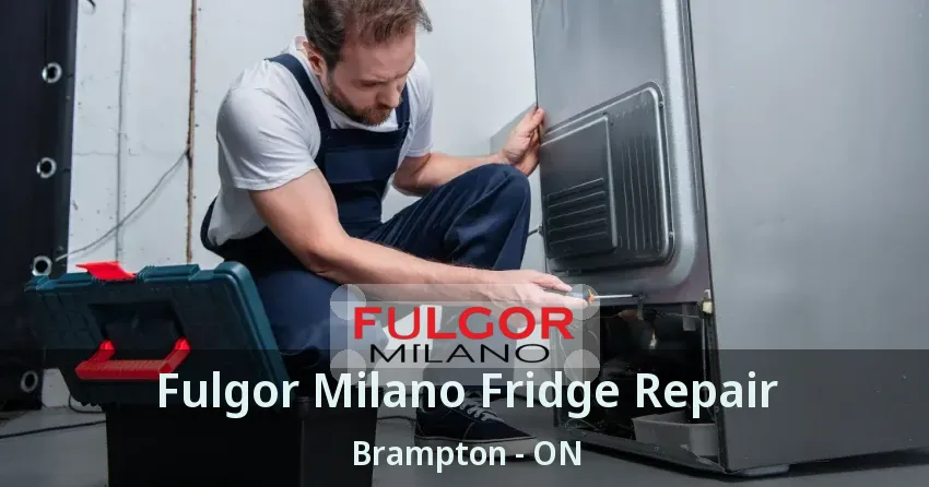 Fulgor Milano Fridge Repair Brampton - ON