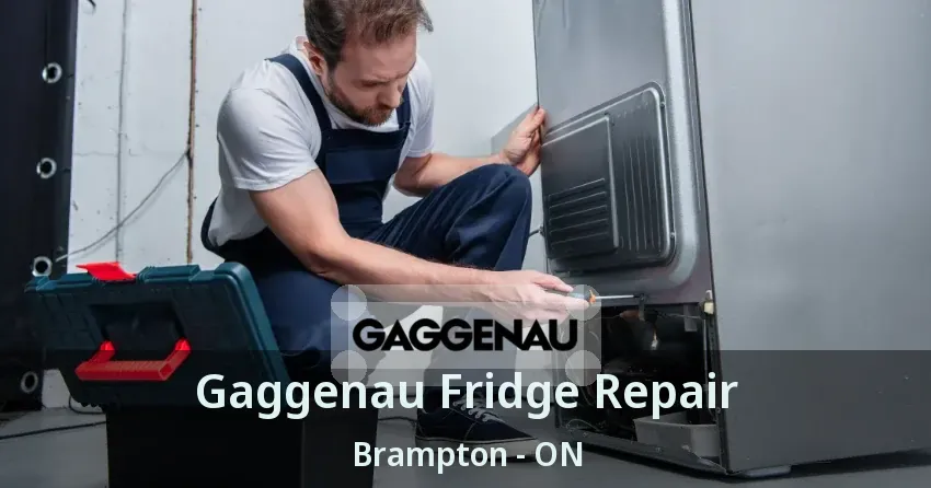 Gaggenau Fridge Repair Brampton - ON